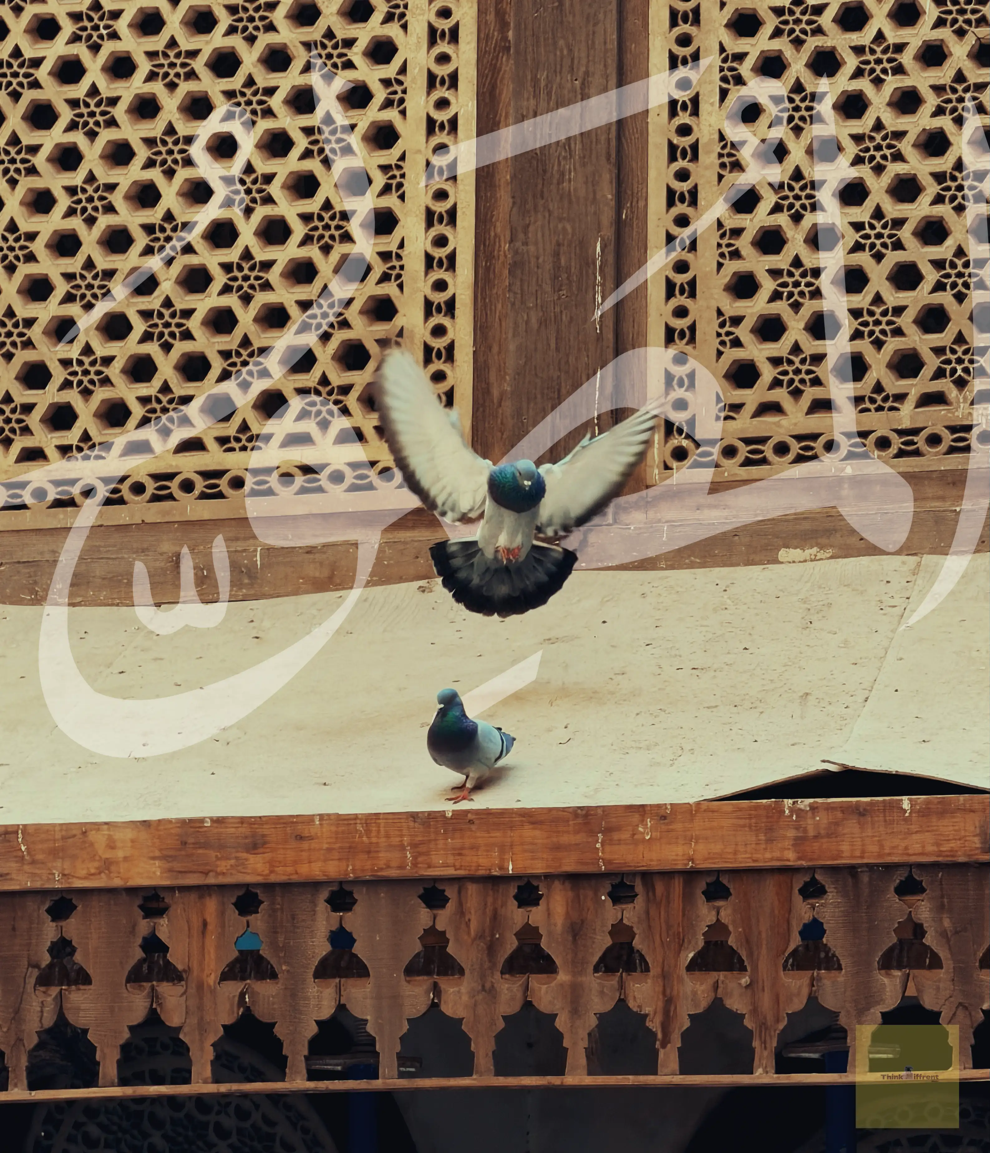 This image describes Al-Moswar name from 99 names of Allah by Omar Elsayed