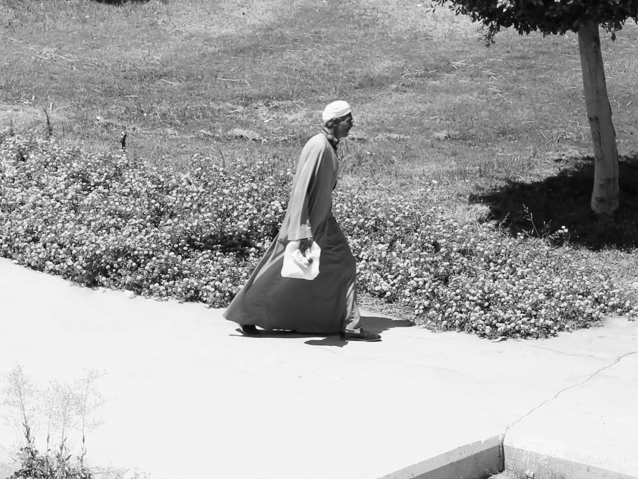 Black and White Collection by Omar Elsayed