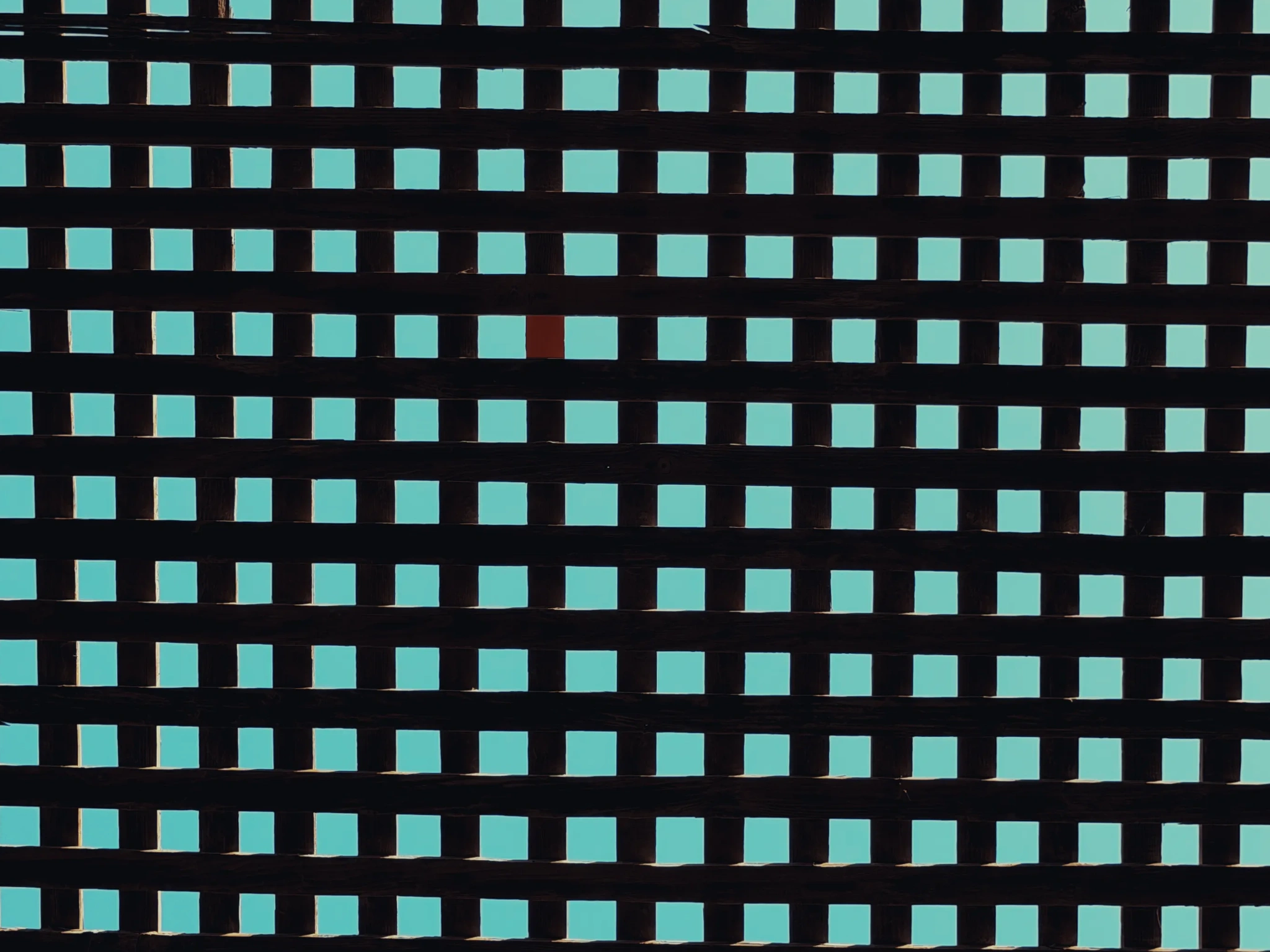 Standout Collection by Omar Elsayed