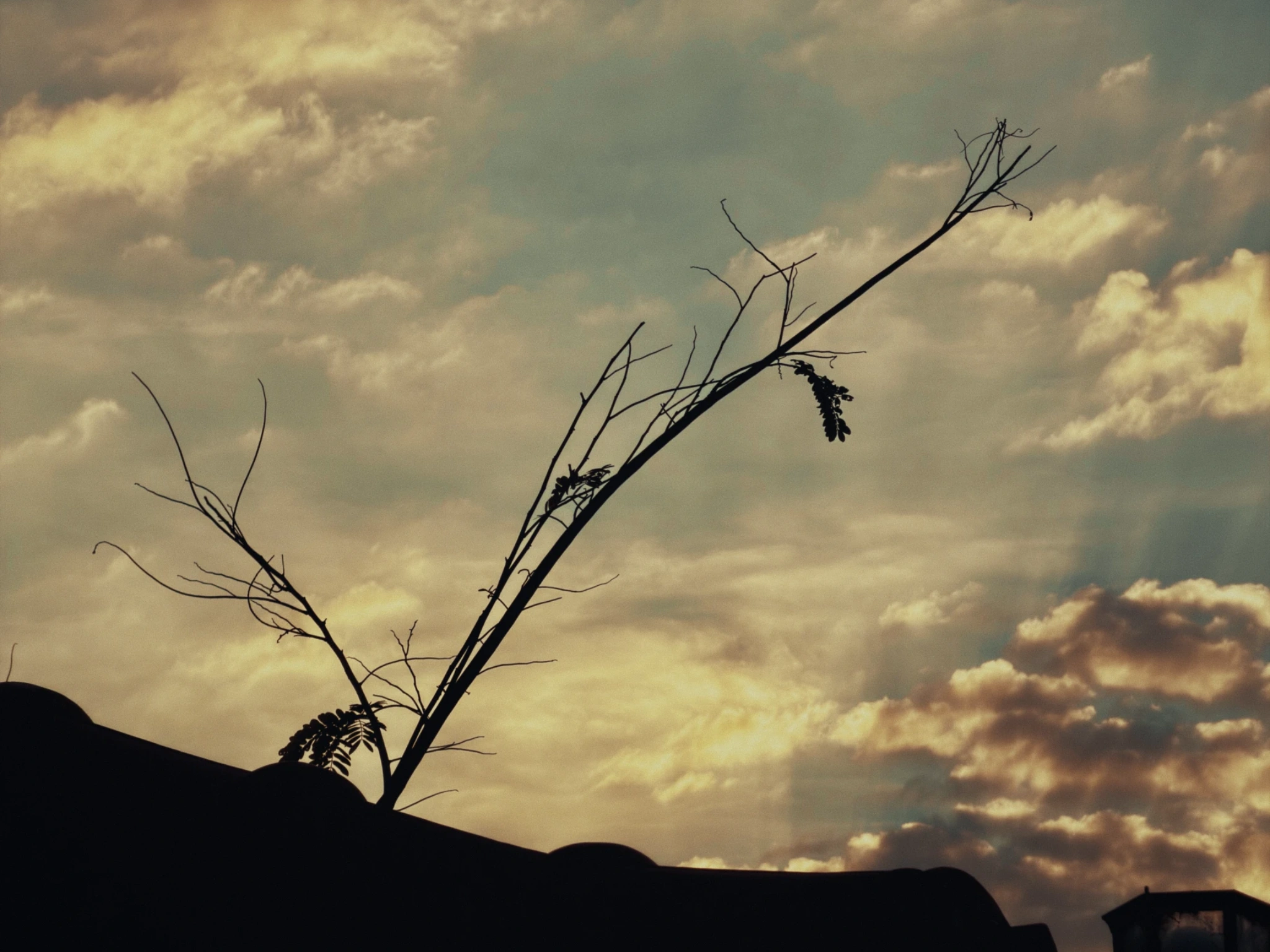 Streets Collection by Omar Elsayed